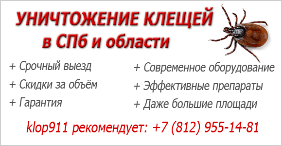16f8e1ecf4f83f6ceccf18832f097f73.png
