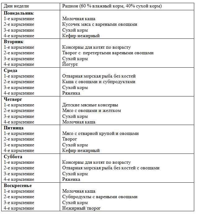 Чем и как правильно кормить котенка?