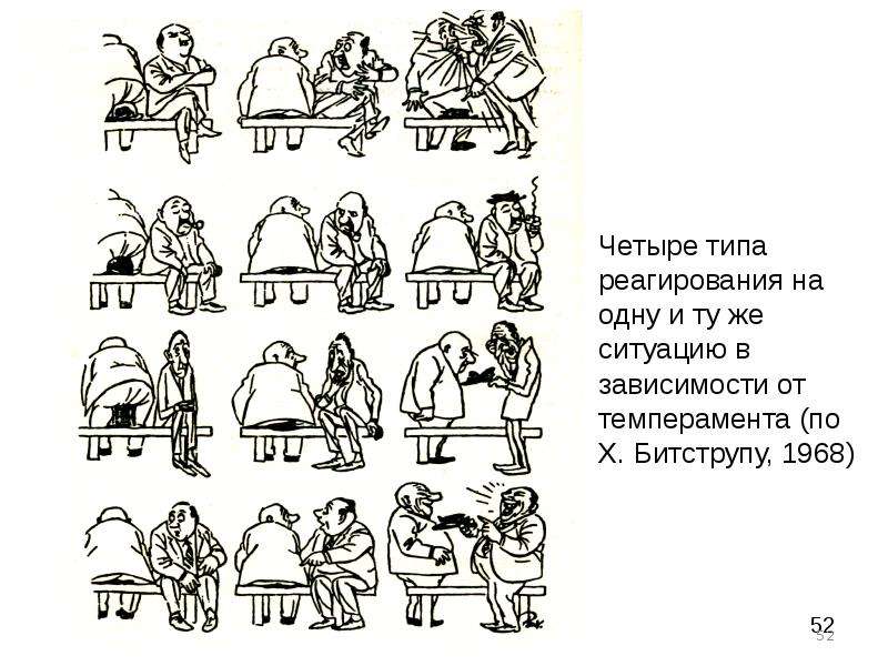 Аргентинский дог, характеристика породы, правила ухода, выбор щенка