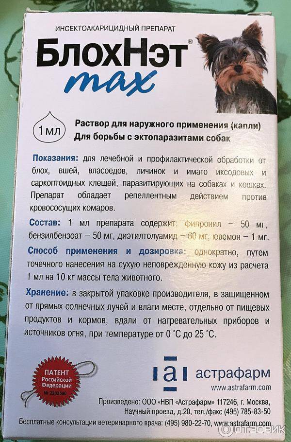 Капли для котят от блох инструкция по применению: барс, чистотел, стронгхолд, инспектор, адвантейдж, беафар