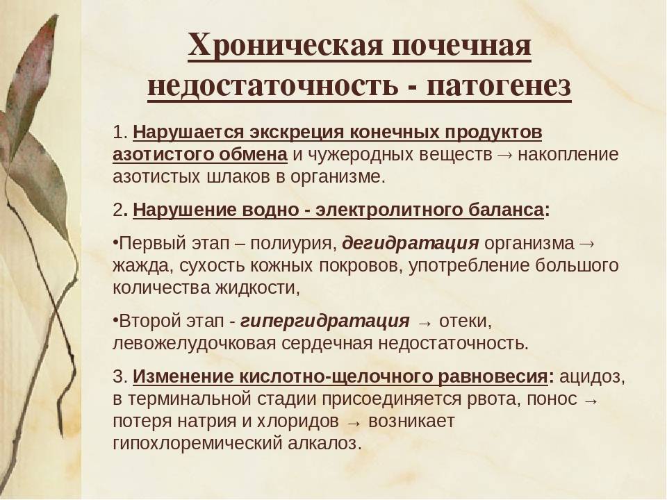 Почечная недостаточность у кошек