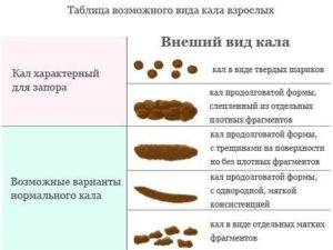 Понос у собаки (диарея): причины и лечение в домашних условиях