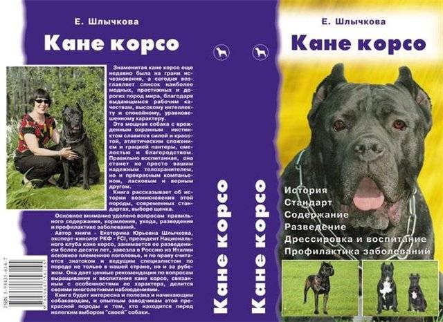 Дрессировка кане-корсо в домашних условиях