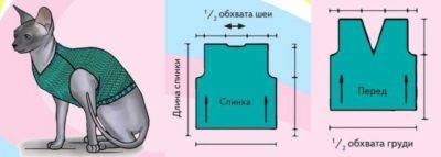 Бандажи или попоны для кошек после стерилизации, готовые или сшитые своими руками