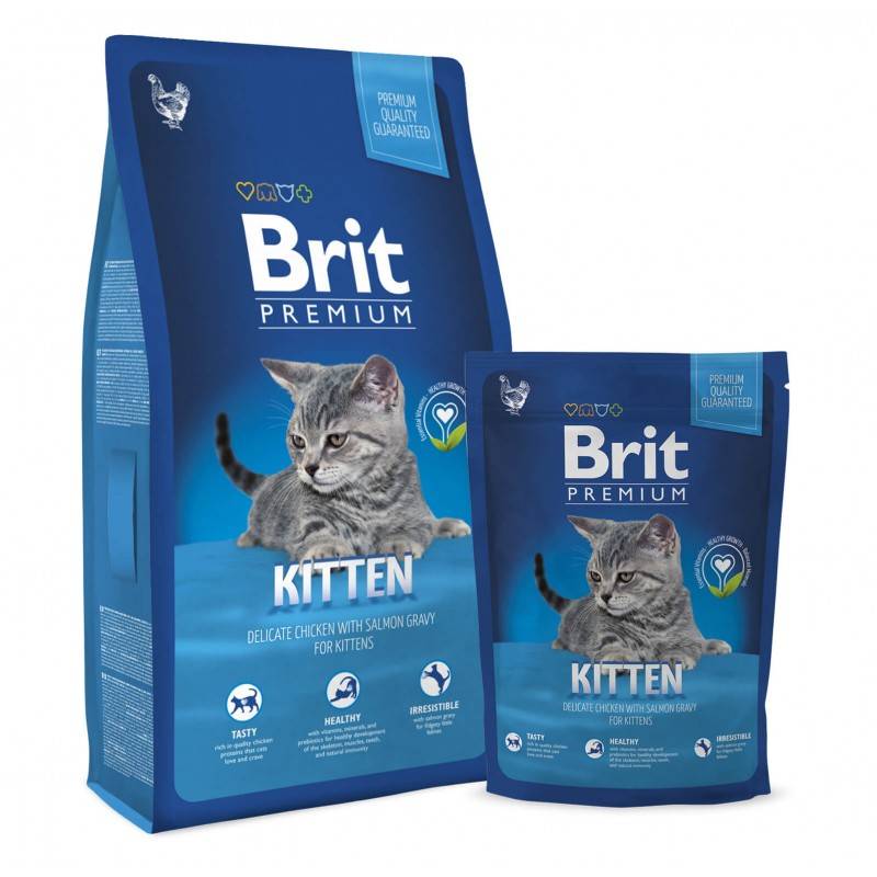 Brit care для кошек, плюсы и минусы состава сухого корма брит, чем он полезен и его недостатки