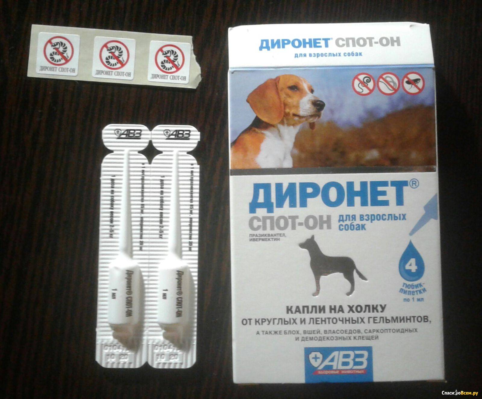 Диронет для кошек и котов
