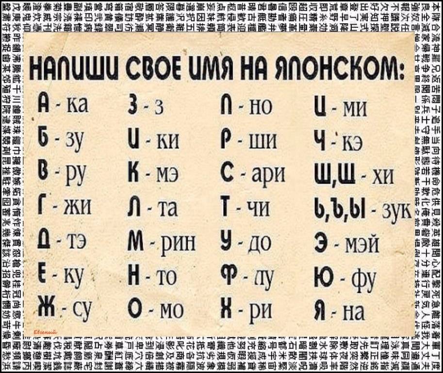 Клички для сиамских кошек и котов - красивые имена для котенка мальчика и девочки