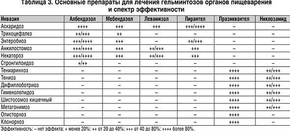 ᐉ лямблиоз у кошек: симптомы, лечение, профилактика и опасность для человека - kcc-zoo.ru