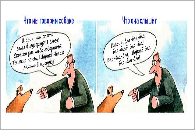 Как наказывать щенка