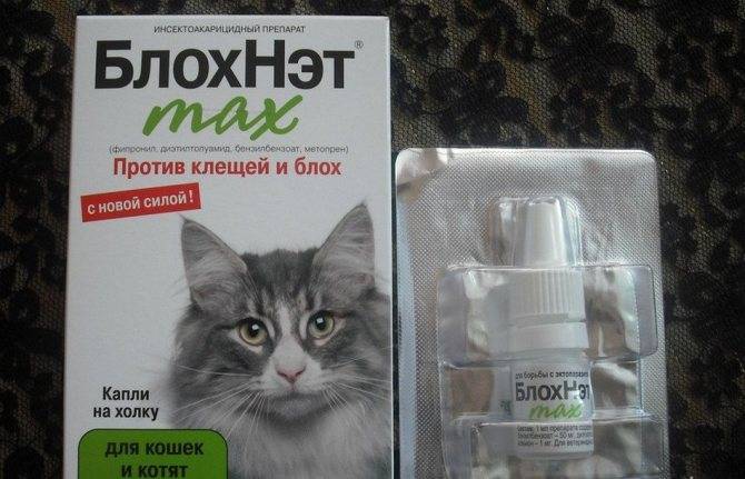 Все о каплях блохнэт для кошки: способ применения препарата и дозировки