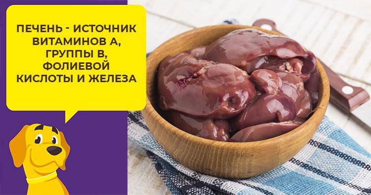 Говяжье вымя для собак: сколько варить, как еще можно готовить, а также давать ли его щенкам? польза и вред коровьего продукта, рекомендации и рецепты