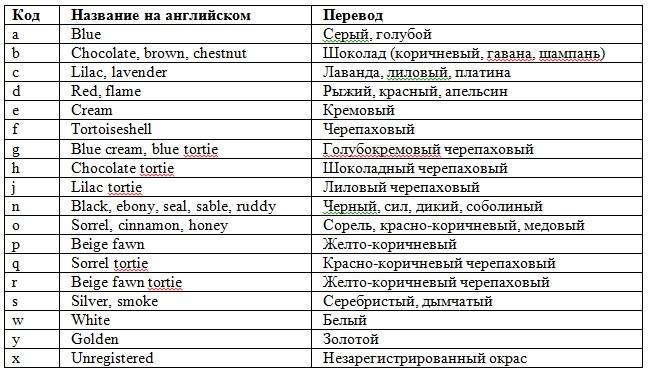 Окрасы шотландских кошек: фото, таблица, описания