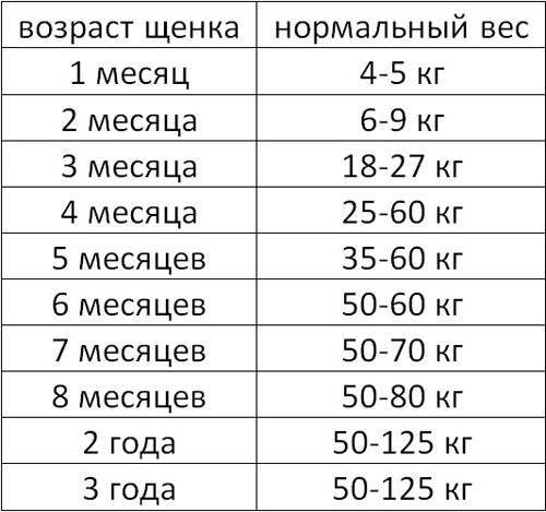Какого возраста лучше брать щенка